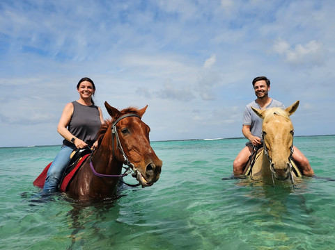 Equus Rides Horseback Riding St. Croix-Frederiksted必去景点