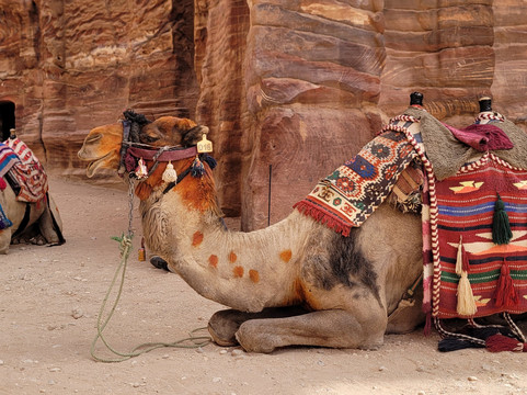 Lost in Petra-佩特拉必去景点