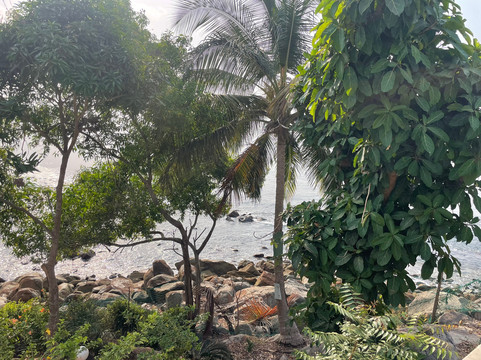 La Villa Elijah - Guinea Fishing Camp主图