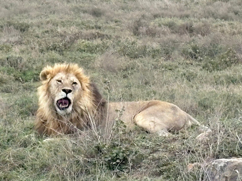 Visit Natives-Kautokeino必去景点