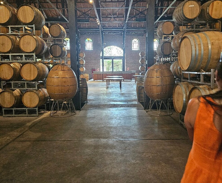 Bodega Los Toneles-门多萨必去景点