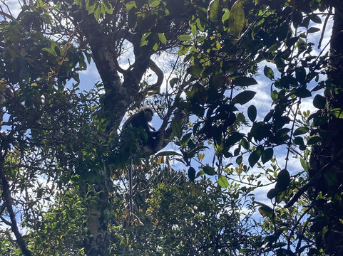 Travel Trail With Pulendran Gobi-埃勒必去景点