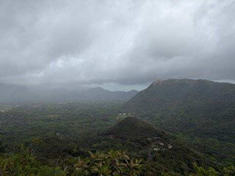 Panama Custom Tours-巴拿马城必去景点