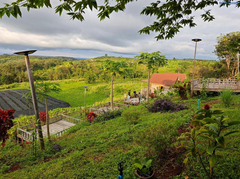 Natural House Farm Stay