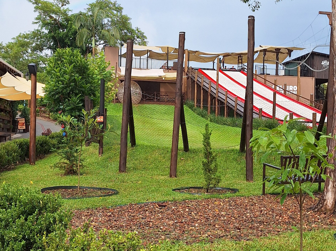 Spitz Pomer-Pomerode必去景点