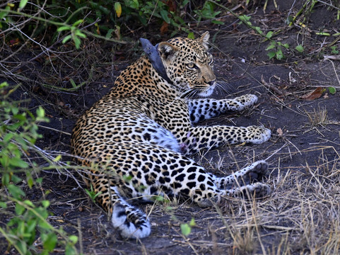 Pearl Nature Holidays-坎帕拉必去景点
