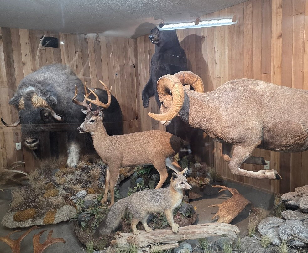 Canadian Wildlife Museum and Gift Shop-弗农必去景点