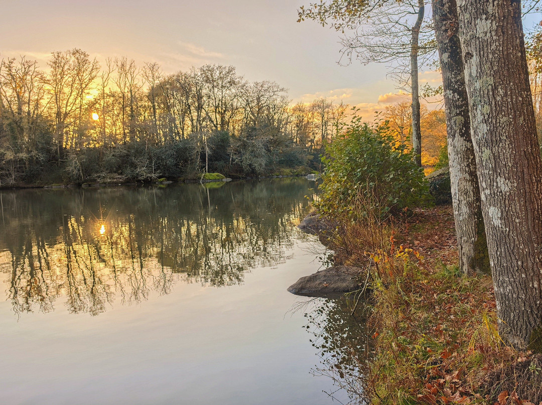 Etang de Bois Pouvreau et son chaos granitique-Menigoute必去景点