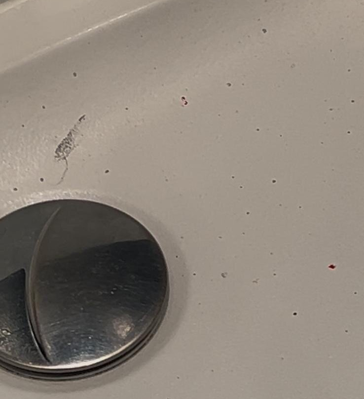 卡尔加里酒店主图