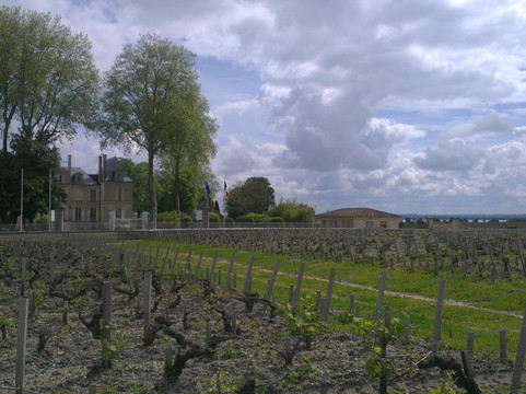 Château Pichon Longueville Comtesse de Lalande-波亚克必去景点