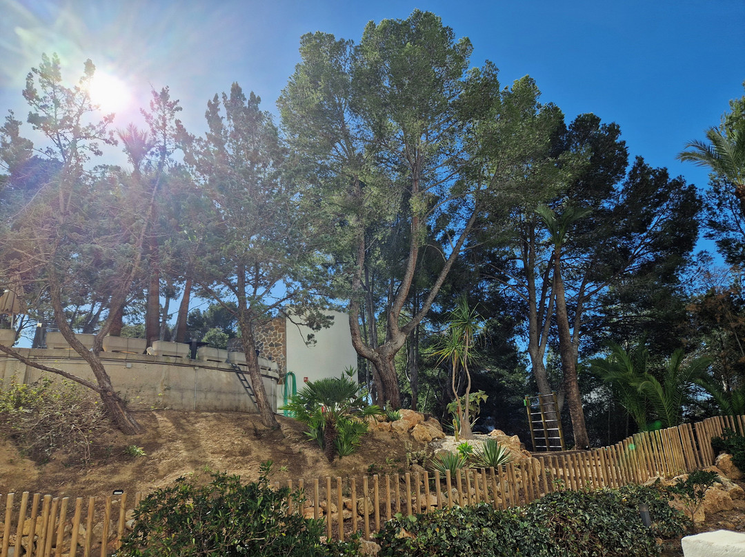 allsun Hotel Bella Paguera主图