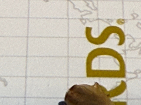 冷水溪贝斯特韦斯特优质酒店主图