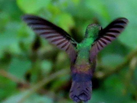 Nectar Pollen Reserve-瓜匹来斯必去景点