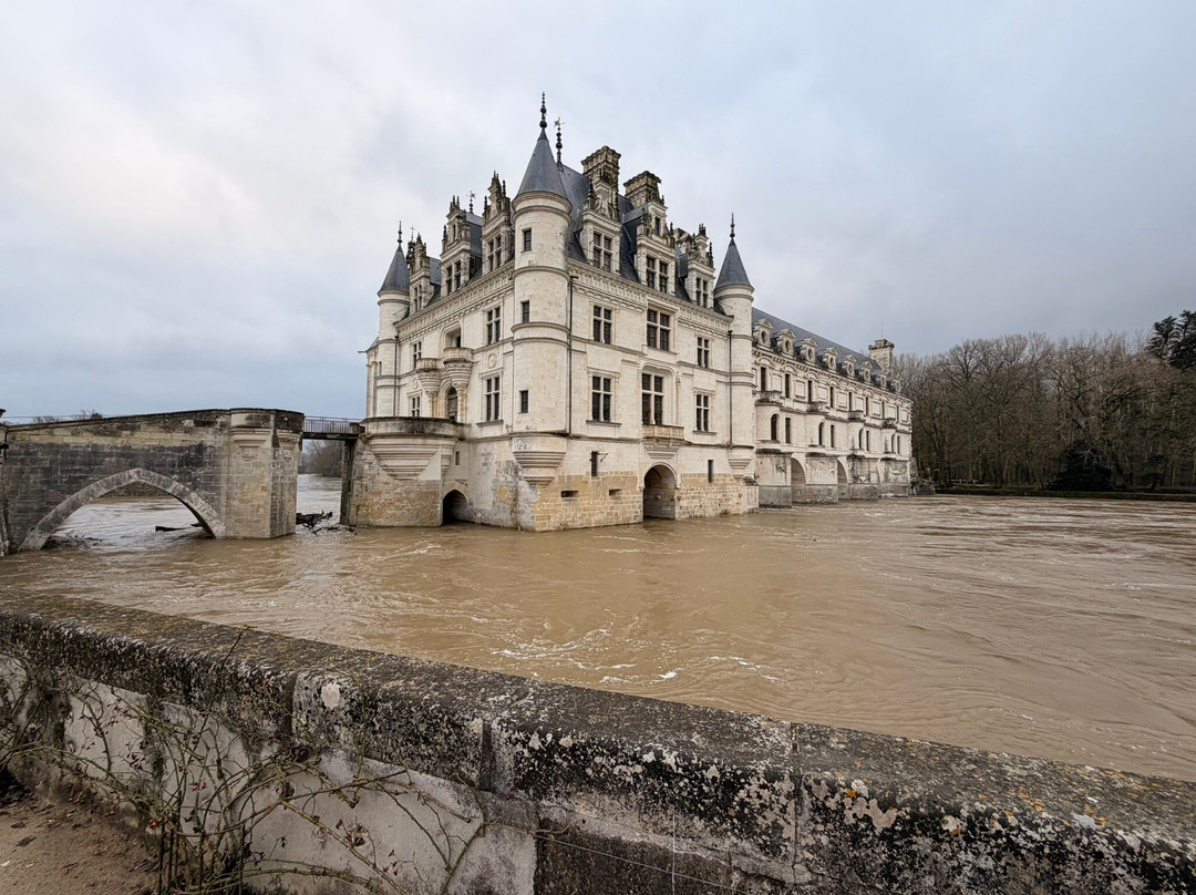 Riverloire - Loire Valley Day Tours-昂布瓦斯必去景点