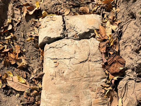 Mae Wang National Park-夜旺必去景点