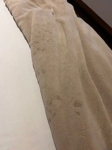 内格里尔卡利斯玛蔚蓝海滩度假村 - 餐点全包主图