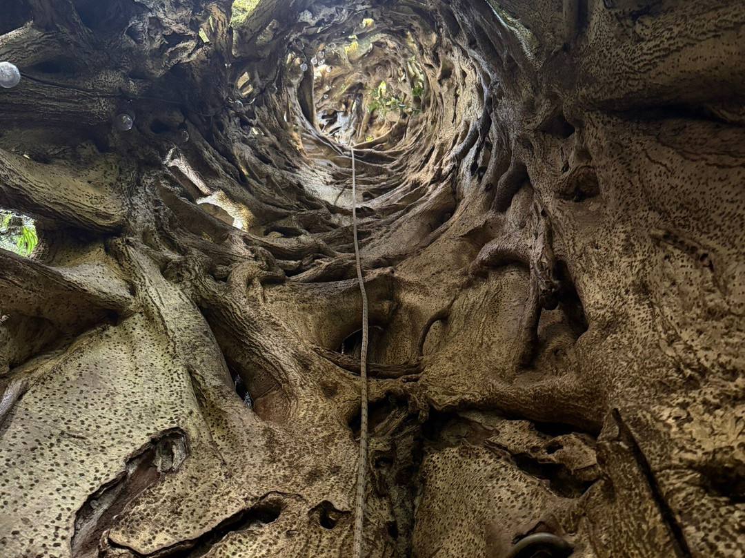 Finca Modelo Ecologica-蒙特沃德必去景点