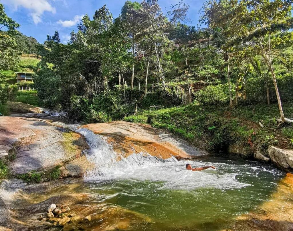 Pura vida glamping