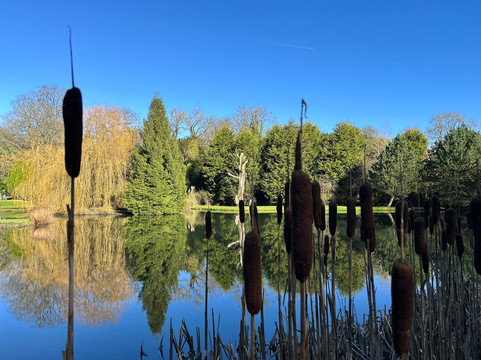 Hopton Hall Gardens-Hopton必去景点