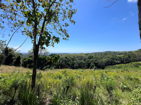 Hacienda La Colinas Ranch-帕利塔必去景点