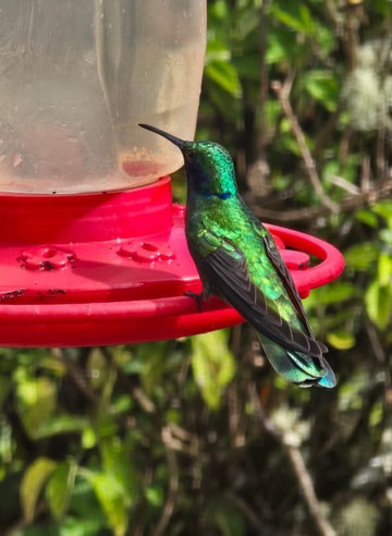 Highland Birds Tours-多塔圣赫拉多必去景点