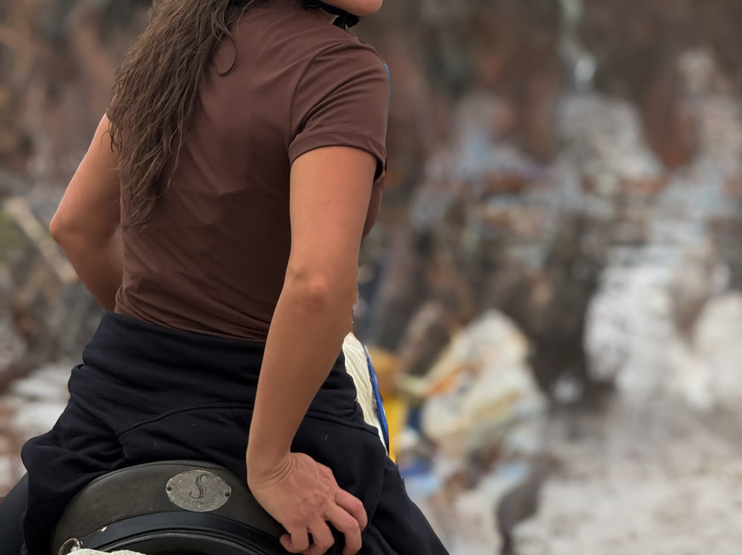 Gansbaai & Pearly Beach Horse Trails-干斯拜必去景点