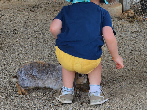 Peter Bangkok Taxi-曼谷必去景点