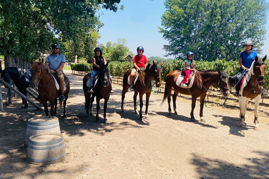 Cabalgatas Y Club Ecuestre Santa Cruz-圣克鲁斯必去景点