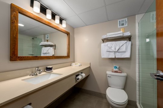 奥扎克斯酒店-浴室