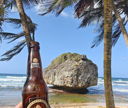 Ted's Tours-Hastings必去景点