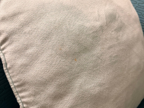 莫比尔SpringHill Suites酒店主图