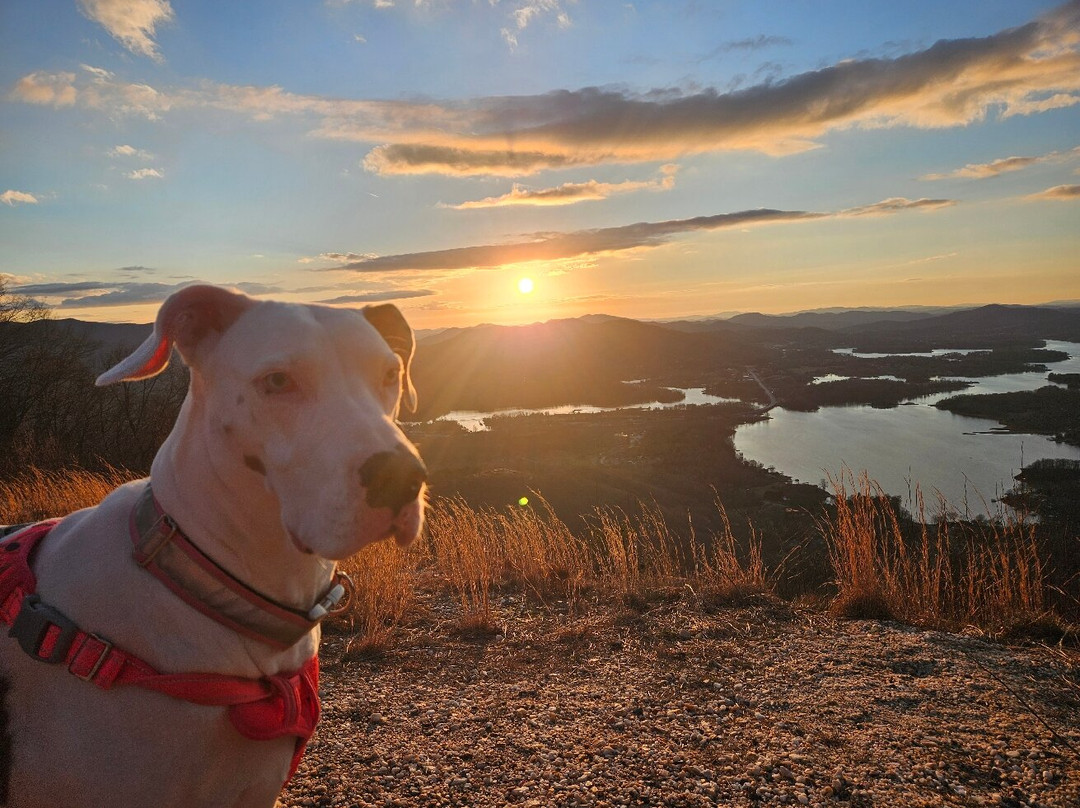 Bell Mountain-Hiawassee必去景点