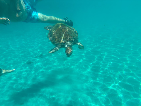 Playa Piskado/Playa Grandi-Sabana Westpunt必去景点