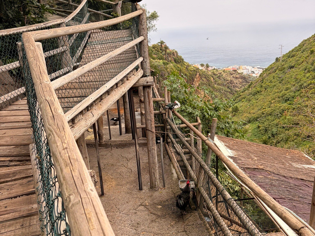 Maroparque Isla de La Palma-Brena Alta必去景点