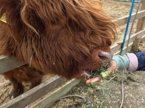 Quex Park-Birchington必去景点