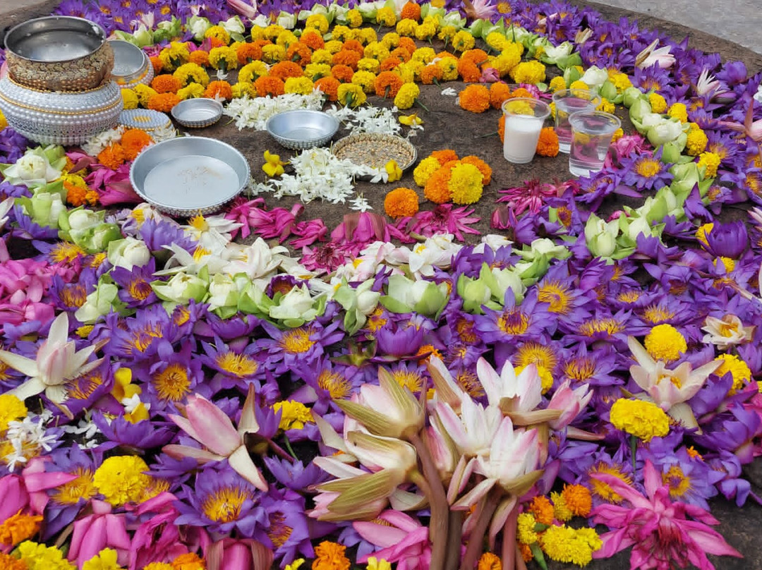 Tours Lanka with Manoj-尼甘布必去景点