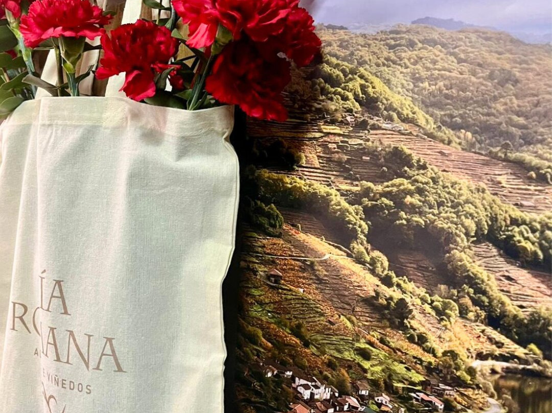 Via Romana Adegas e Vinedos-Chantada必去景点