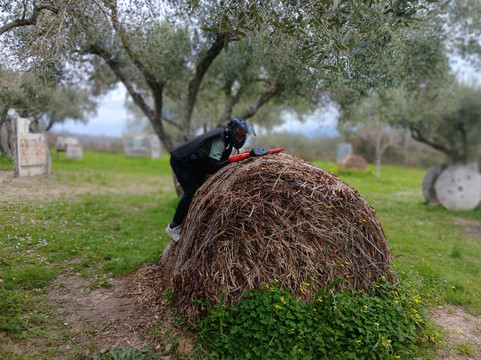 Paintball Vibo Valentia-Sant'Onofrio必去景点