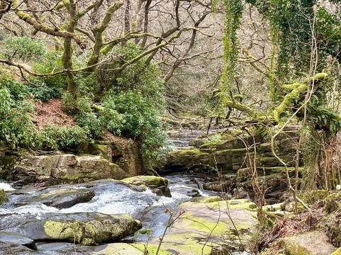 Avon Dam-South Brent必去景点
