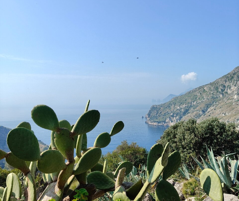 Baia di Ieranto-马萨卢布伦塞必去景点