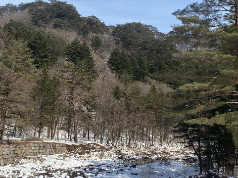 Woljeongsa Temple-平昌郡必去景点