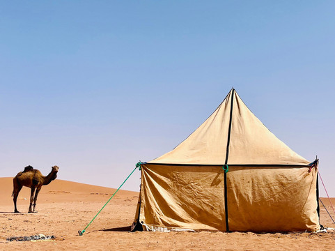 Sahara Steps-扎古拉必去景点