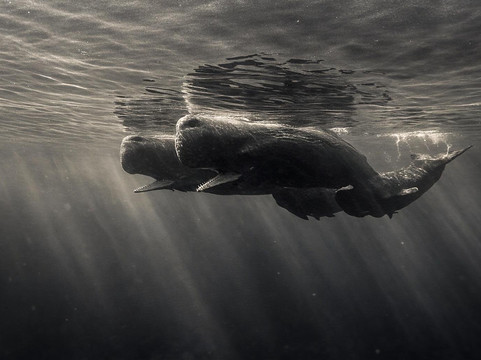 Baba Cool Co Ltd-黑河必去景点