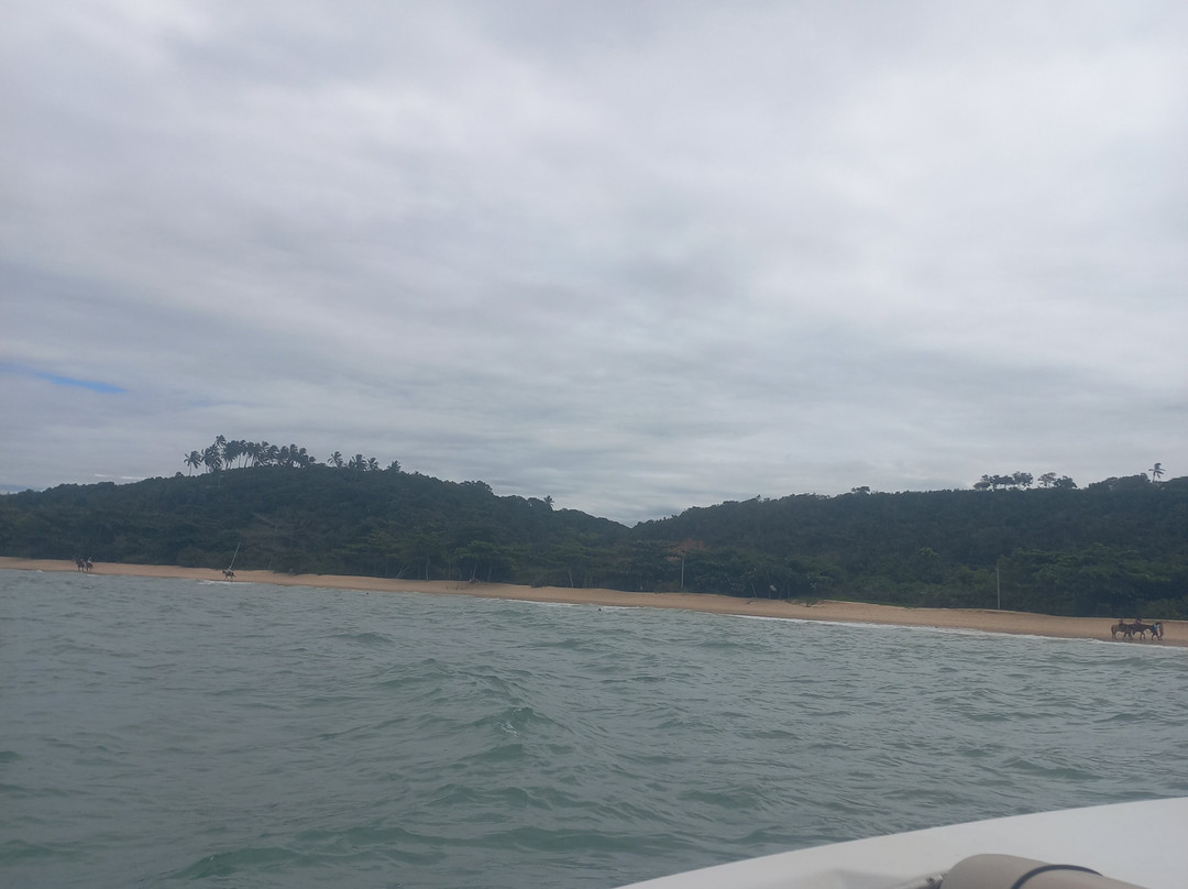 Fan Big Turismo-Porto Seguro必去景点