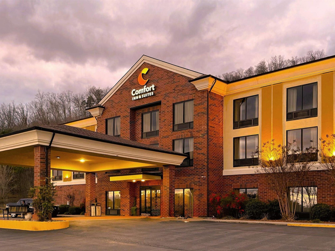 Surgoinsville酒店住宿-Comfort Inn & Suites