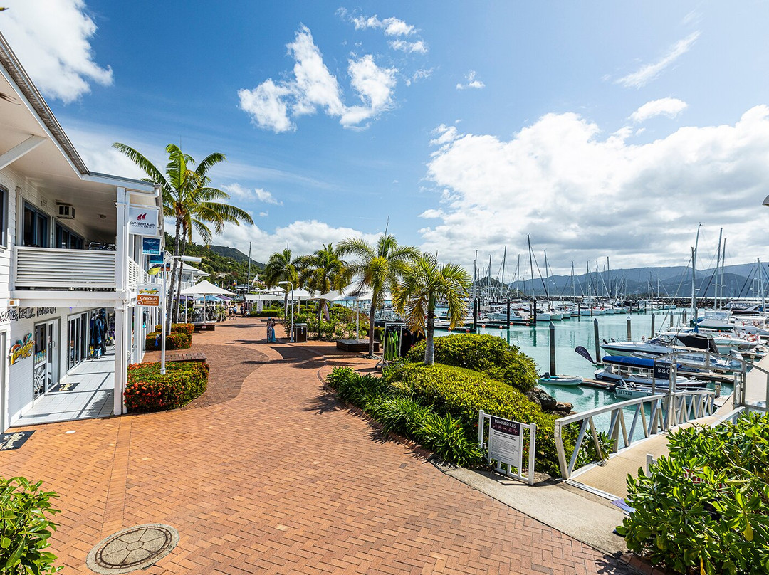 Coral Sea Marina-艾尔利滩必去景点