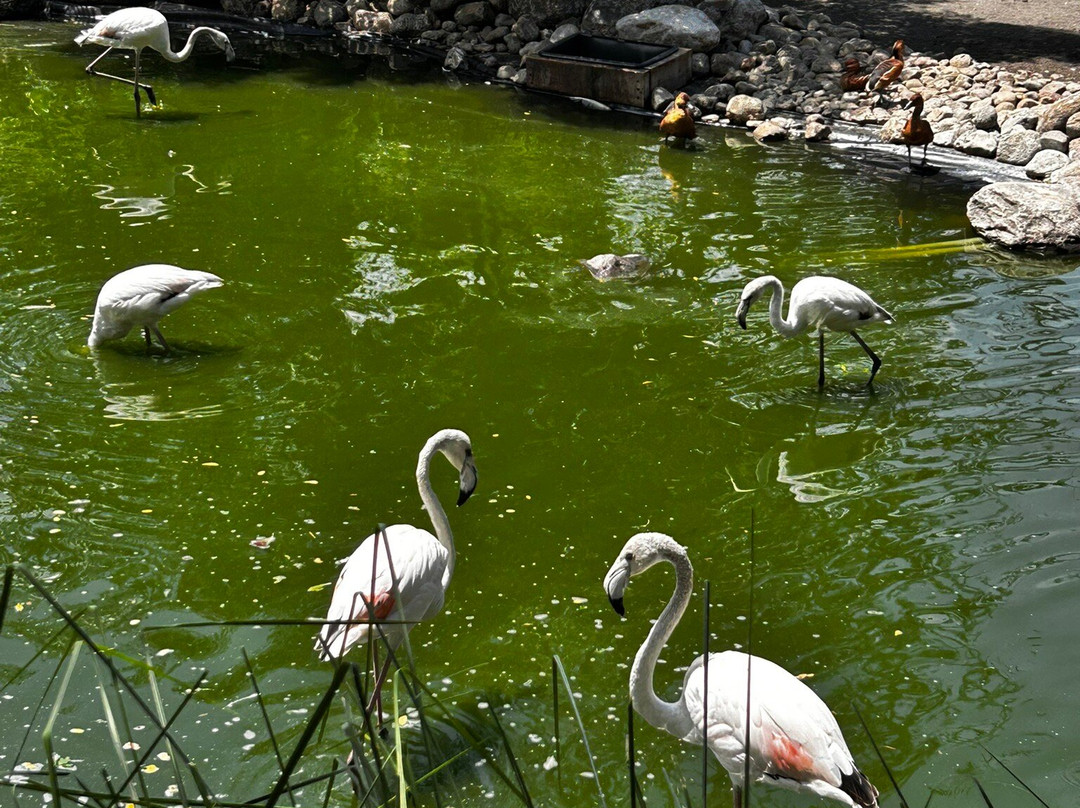 Zoo Parc De La Réunion-Etang Sale Les Bains必去景点