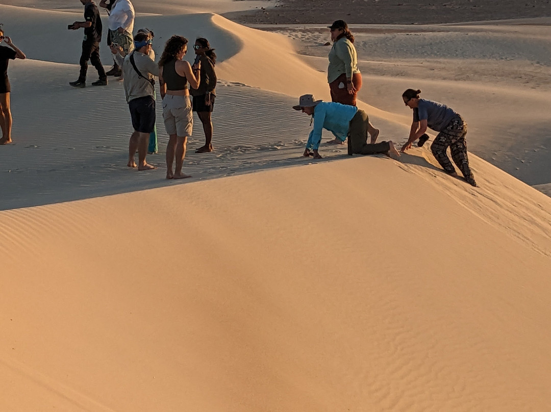 WelcomeToSocotra-索科特拉岛必去景点
