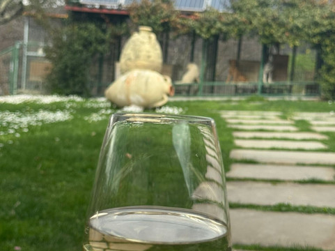 Karlic Tartufi-Buzet必去景点