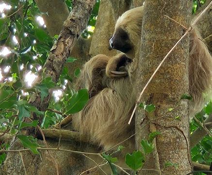 Punta Culebra Nature Center-巴拿马城必去景点